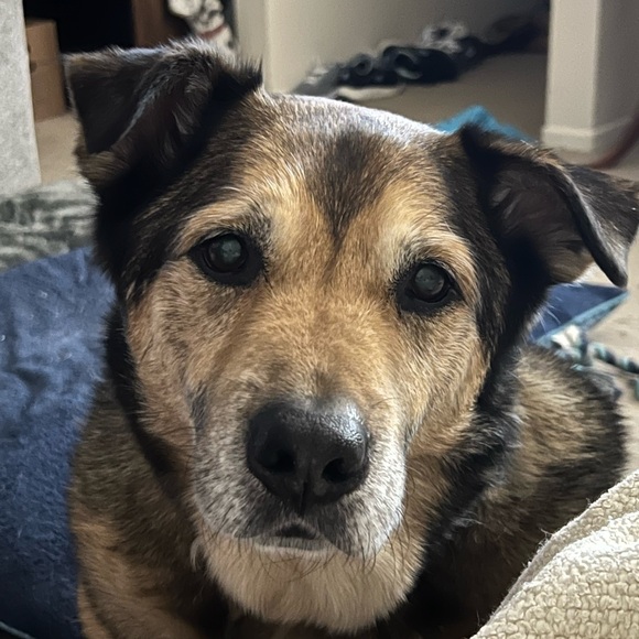 Meet your Posher, Kimberly - Picture 3 of 3